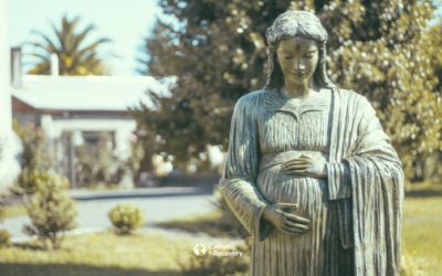 Seeing the Church as Our Loving Mother