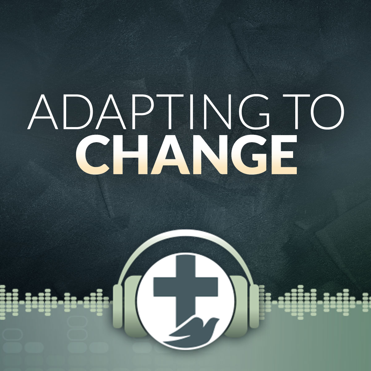 Episode 19 – Adapting to Change